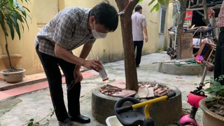 Hà Nội bước vào đỉnh dịch sốt xuất huyết, thêm 83 ổ mới