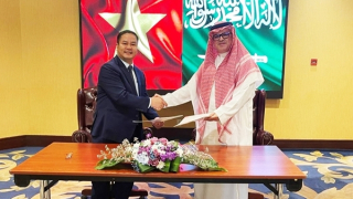 Đàm phán Hiệp định về hợp tác phòng, chống tội phạm với Ả-rập Xê-út