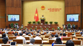 Chính phủ quyết định việc thành lập cơ quan thanh tra tại các Tổng cục, Cục cụ thể