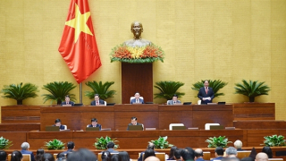 Quốc hội thông qua Nghị quyết thí điểm đấu giá biển số xe ô tô