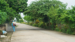 Sốt xuất huyết đã vượt mốc 300.000 ca