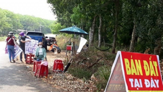 Xử lý nghiêm hành vi đầu cơ, lướt sóng, tạo giá ảo về đất