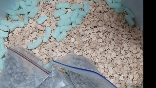 Bắt giữ 15 kg ma túy vận chuyển qua đường hàng không