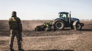 Khi lương thực trở thành vũ khí trong các xung đột địa chính trị