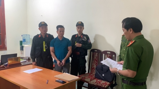 Bắt tạm giam giám đốc phá rừng trái phép tại Điện Biên