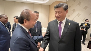 Chủ tịch nước Nguyễn Xuân Phúc gặp Tổng Bí thư, Chủ tịch Trung Quốc Tập Cận Bình