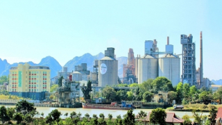 Công ty Xi măng Vicem Hoàng Thạch nói gì khi Chủ tịch HĐTV bị bắt?