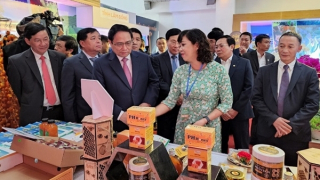 Phát triển kinh tế xã hội vùng Tây Nguyên gắn với đảm bảo quốc phòng, an ninh