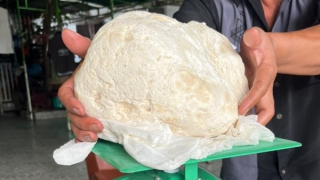 Ngư dân ở Huế vớt được vật lạ, nghi long diên hương quý hiếm