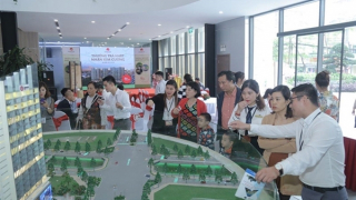 “Tảng băng chìm” quanh chuyện phát triển dự án của Vietracimex