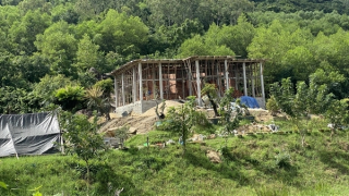 Xử lý tình trạng công trình “tự mọc” trên đất lâm nghiệp