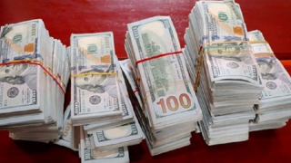 Làm rõ vụ vận chuyển gần 500 triệu đồng và 10.400 USD qua biên giới