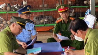 Ngăn chặn vấn nạn mua bán trái phép động vật hoang dã tại Long An