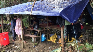 Dai dẳng nạn “vàng tặc” tại miền núi Đông Giang