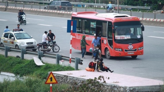 Nhiều doanh nghiệp vận tải có kế hoạch bỏ tuyến và chuyển sang chạy... dù