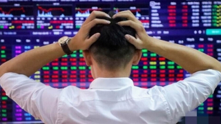 Bi hài viên chức bỏ việc đi "chơi chứng"