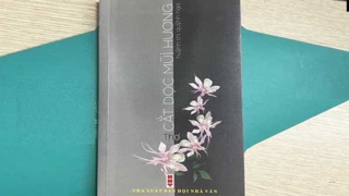 “Lắng nghe những cảm thức rất lạ” từ phương Nam