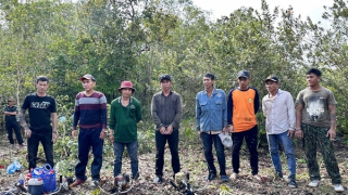 Liên tiếp bắt 2 vụ phá rừng ở Phú Quốc