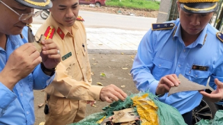 Tạm giữ 30kg vây cá mập sấy khô không rõ nguồn gốc