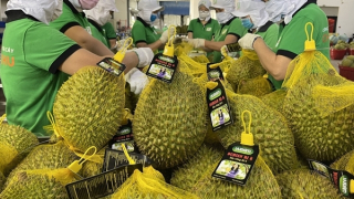 Ban hành Chương trình hành động thực hiện Chiến lược xuất nhập khẩu hàng hóa đến năm 2030