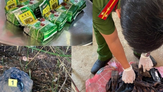 Vận chuyển 8kg ma túy, trốn ra nước ngoài cũng không thoát