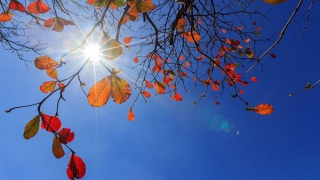 Mưa giảm ở Bắc và Trung Bộ, trời hửng nắng