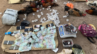 Bắt 15 con bạc đang sát phạt trên sới đá gà