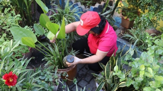 Hà Nội thêm 2 ca tử vong do sốt xuất huyết