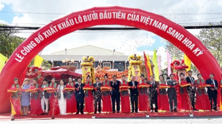 Xuất khẩu lô bưởi Việt Nam đầu tiên vào thị trường Hoa Kỳ