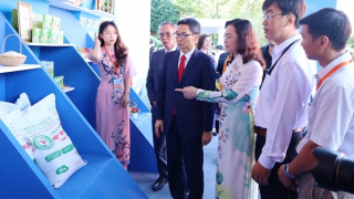 Bạc Liêu xác định phát triển năng lượng sạch, năng lượng tái tạo là trọng tâm