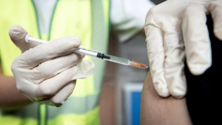 WHO công bố tên mới cho "đậu mùa khỉ"