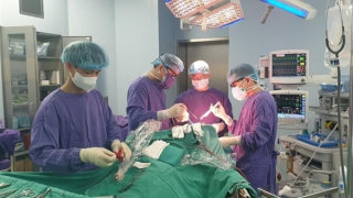 Cảnh báo biến chứng xuất huyết nội sọ nặng do sốt xuất huyết