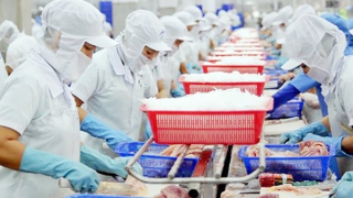 Việt Nam hướng đến xuất khẩu xanh để vào "sân chơi" thế giới