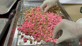 Những "độc chiêu" gửi ma túy qua đường hàng không