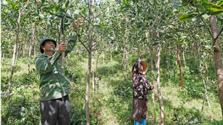 Không để ai bị bỏ lại phía sau vì thiếu vốn