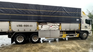 Phát hiện xe tải vận chuyển 17 tấn đường kính ngoại nhập