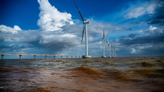 Cần khung chính sách ổn định để điện gió thay thế nhiệt điện than