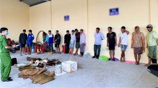 Triệt xóa điểm đá gà, tạm giữ gần 60 triệu đồng