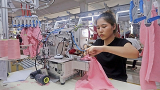 Cần hỗ trợ kịp thời những ngành xuất khẩu chủ lực bị sụt giảm đơn hàng