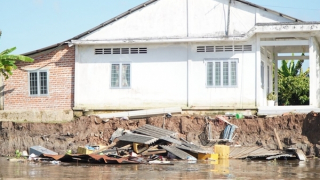 Cận cảnh vụ sạt lở cuốn trôi 13 căn nhà ở Vĩnh Long