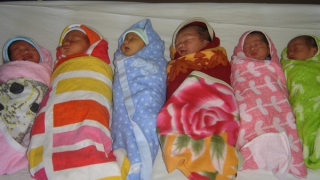 Mang thai hộ - thế nào là hợp pháp?