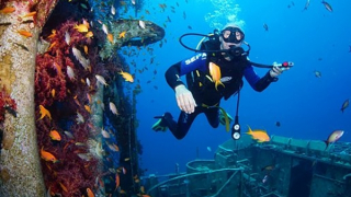 Sắp hết năm, cáp quang biển lại gặp sự cố