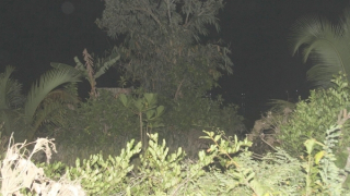 Sạt lở bờ sông Cổ Chiên, cuốn 11 căn nhà trôi sông