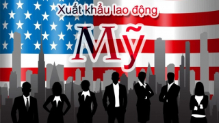 Mất tiền tỷ vì tin lời công ty làm thủ tục xuất khẩu lao động sang Mỹ