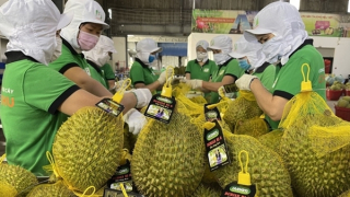 Tìm giải pháp thúc đẩy xuất khẩu nông sản