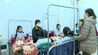 40 học sinh huyện Mộc Châu bị ngộ độc thực phẩm sau buổi ngoại khóa