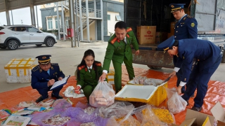 35 tấn đường và gần 500 kg thực phẩm không rõ nguồn gốc theo xe tải về Thủ đô