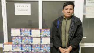 Bắt đối tượng tàng trữ, vận chuyển gần 50 kg pháo nổ trái phép