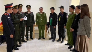 Thiết kế, thẩm định tận thu gỗ rừng thông trái quy định, gây thất thoát Nhà nước hơn 5,6 tỷ đồng