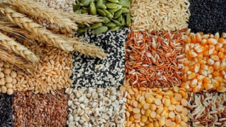 Nhân loại có đủ tài nguyên cho tương lai?